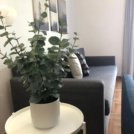 Apartment Minimalist Newly Renovated 1bd Near The Center *