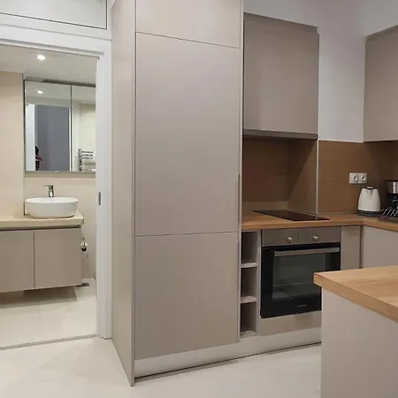 Minimalist Newly Renovated 1bd Near The Center Apartment